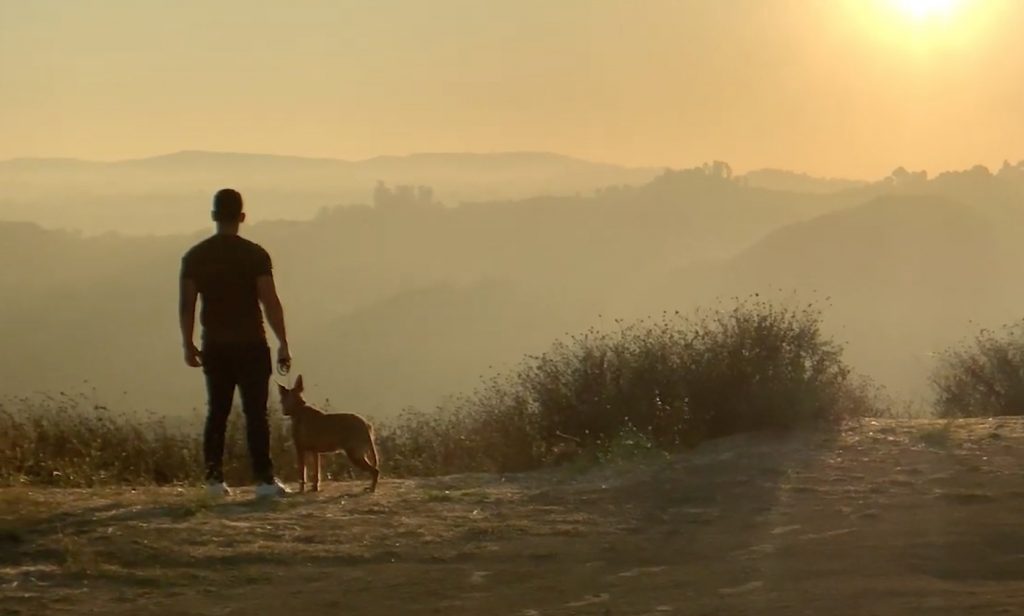 Documentary explores the human-canine relationship