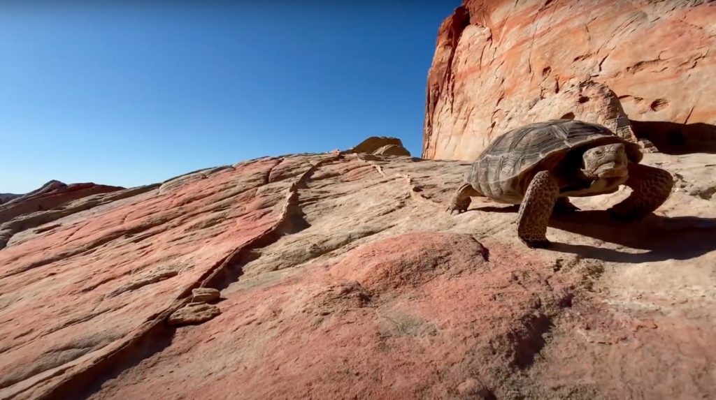 Wide-angle Lens Demo Celebrates Nevada Landscape