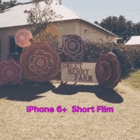 Sweet Berry Farm - Marble Falls, Texas