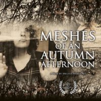 Meshes of an Autumn Afternoon